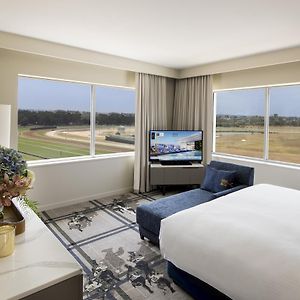 Executive King Suite